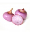 Onion /Kanda /Pyaz