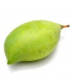 Kalmi aam / Totapuri Mango